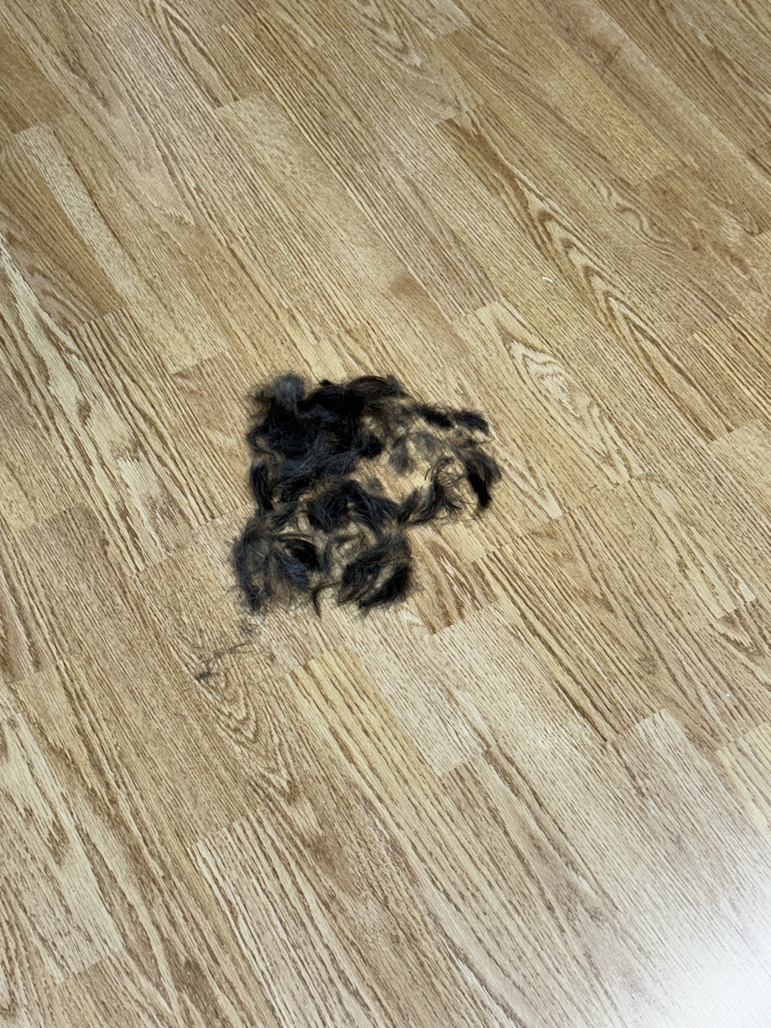 Buzz Cut
