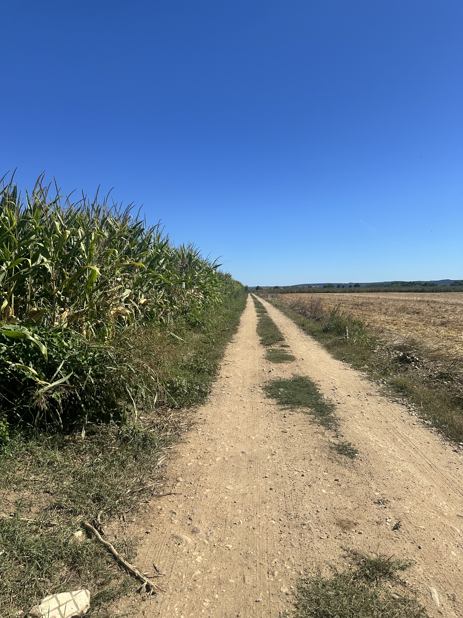 Day 4 – Sept 14