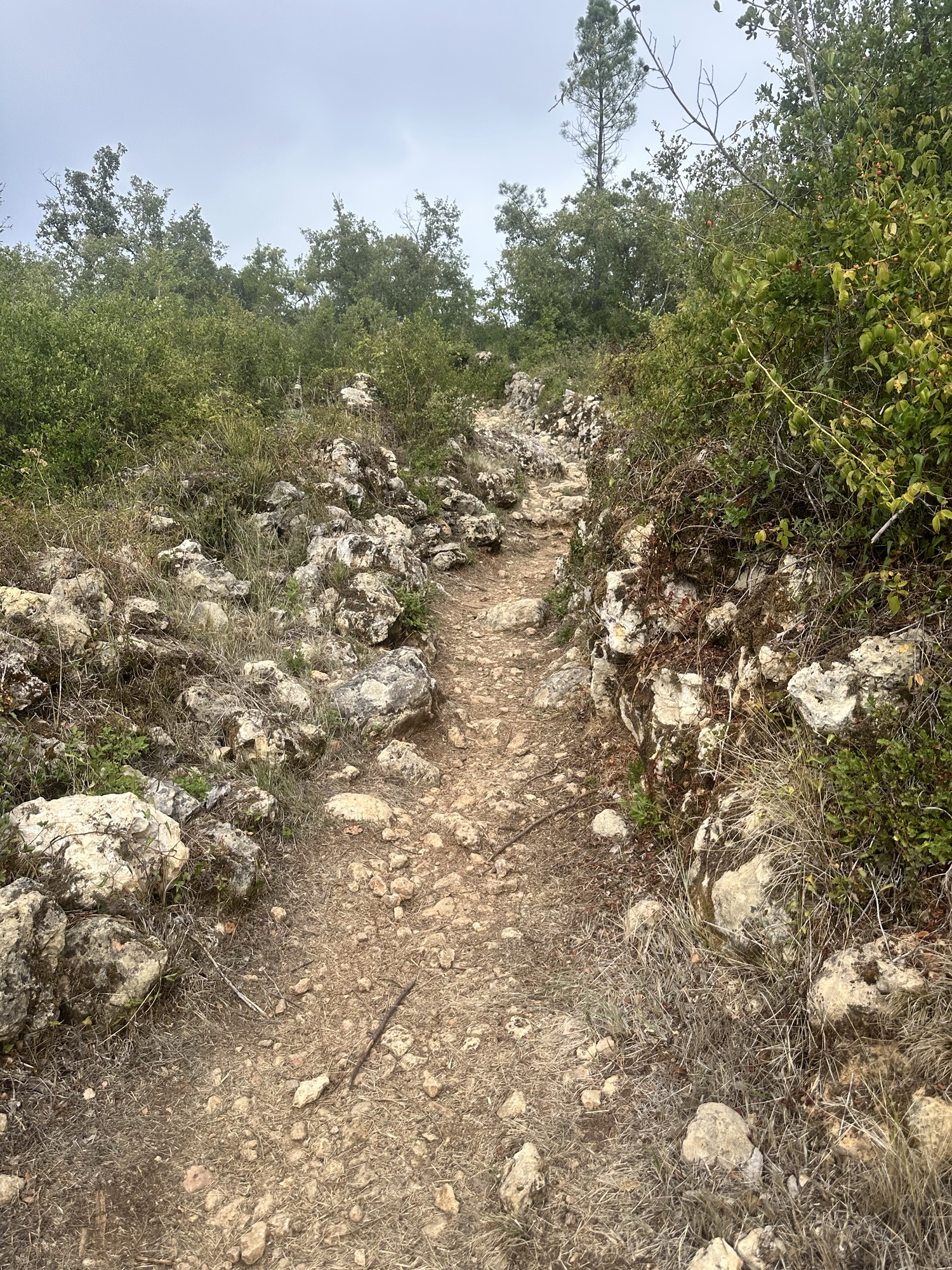 Day 8 – Sept 18 – Vila Verde to ?