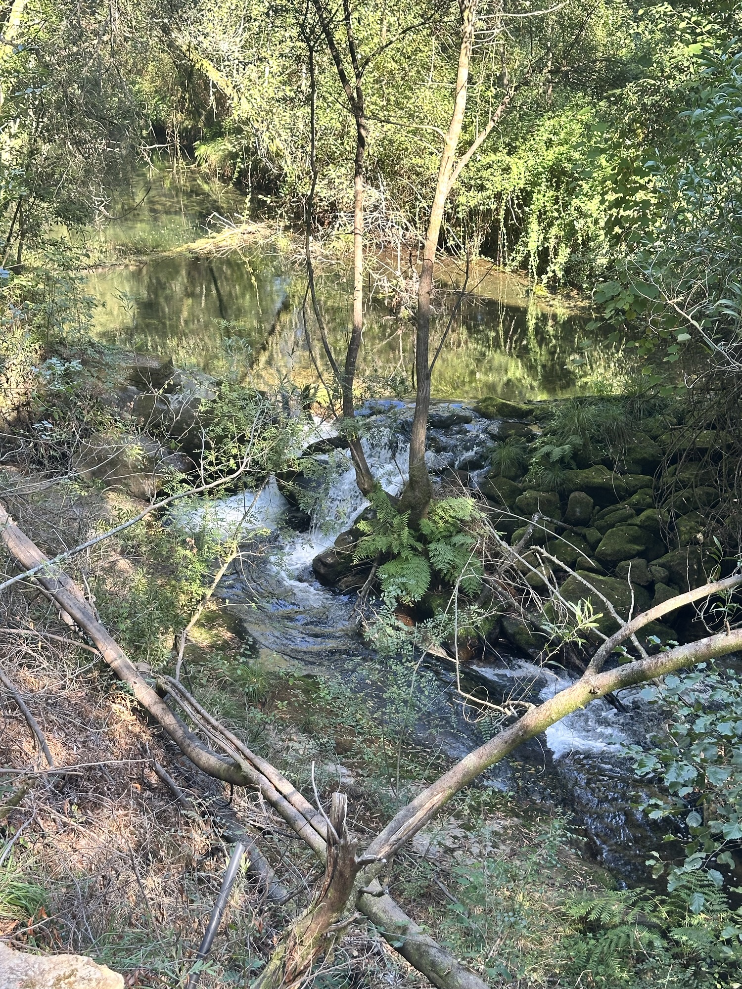 Day 19 – Corgo to Labruja