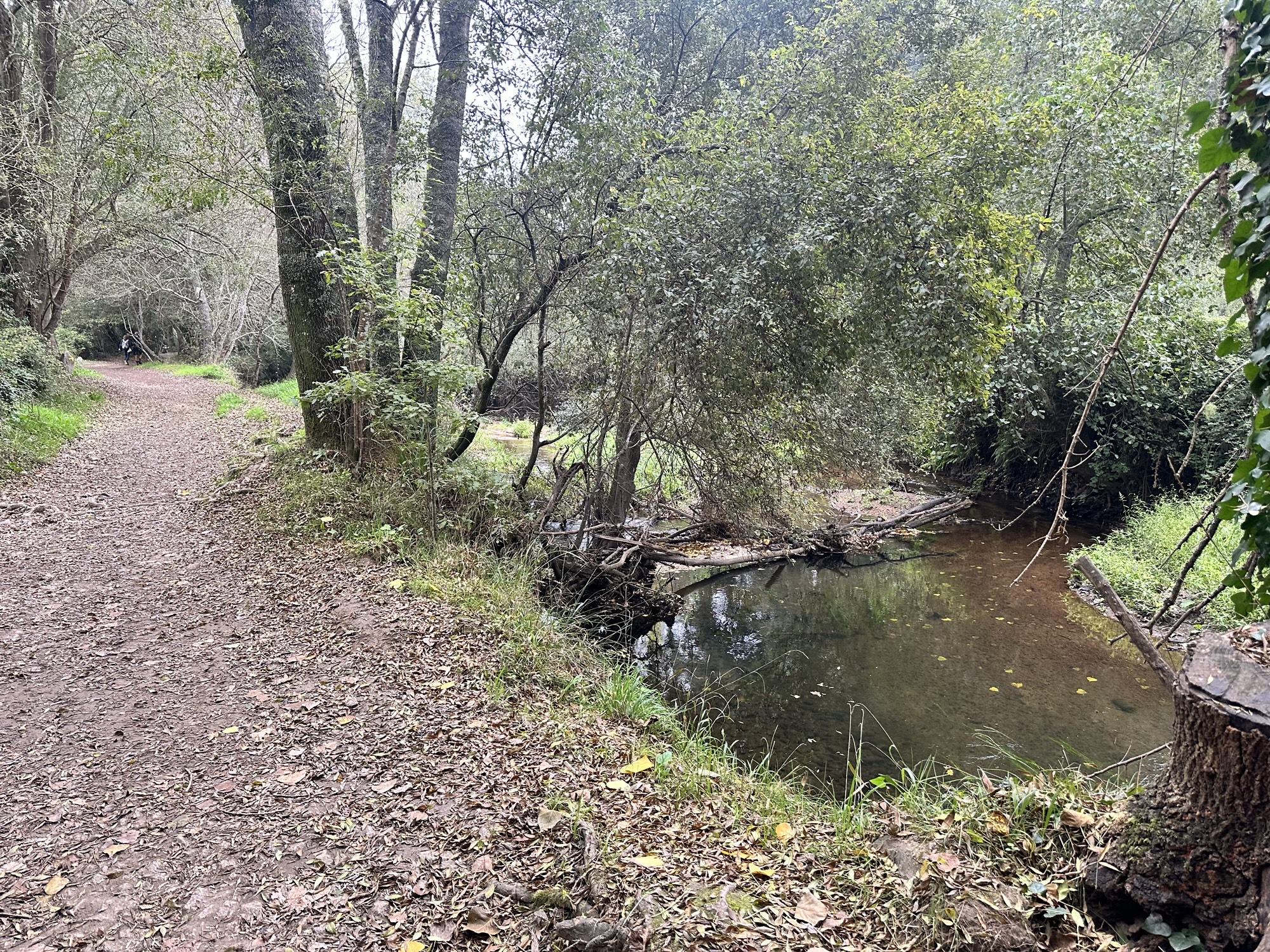 Day 23 – Tui to Mos