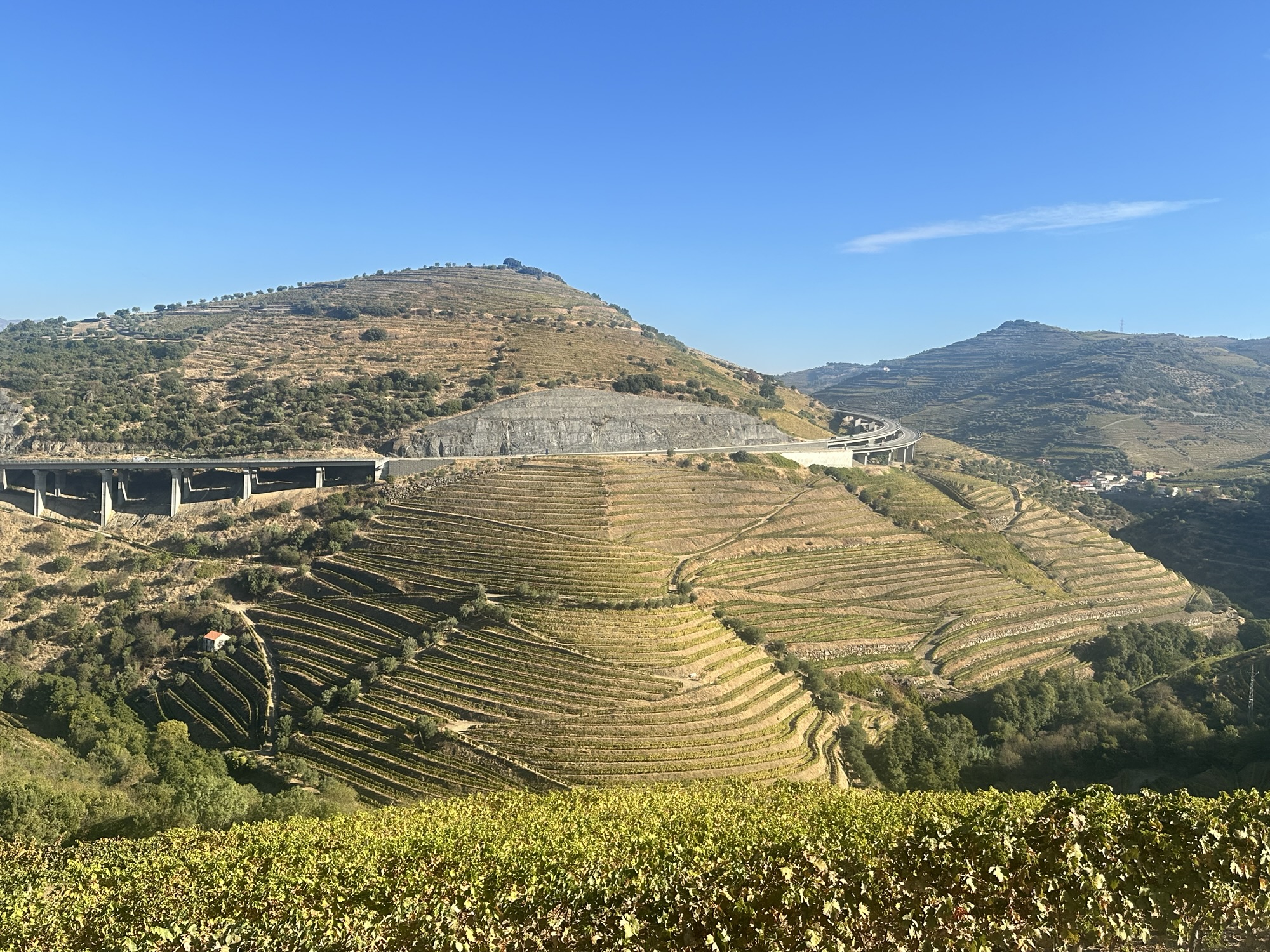 Day 31 – Touring the Douro Valley